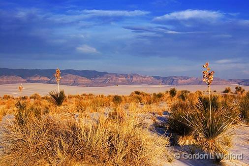 White Sands_32401.jpg - New Mexico's Sacramento Mountains in the distance.Photographed at the White Sands National Monument near Alamogordo, New Mexico, USA.